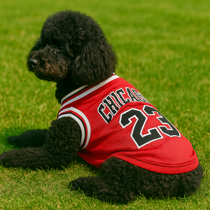 PawPlay Red – Dog Jersey
