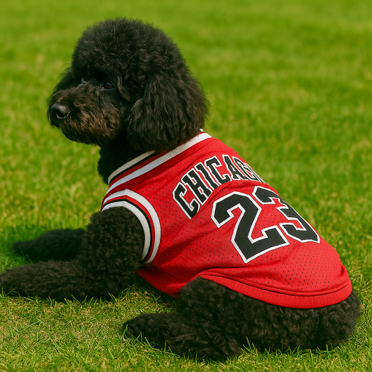 PawPlay Red – Dog Jersey