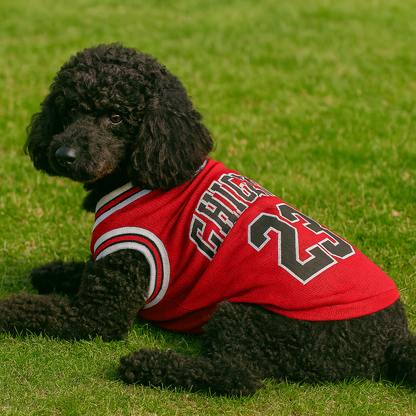 PawPlay Red – Dog Jersey