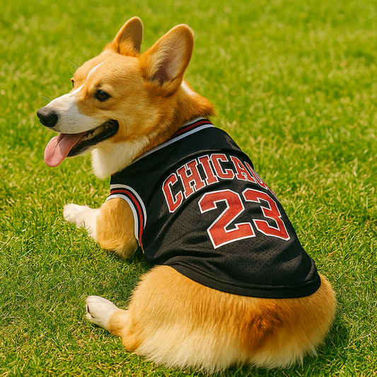PawPlay Black – Dog Jersey