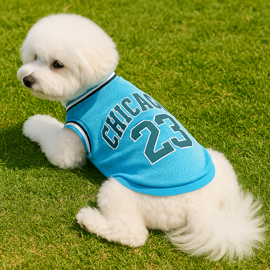 PawPlay Blue – Dog Jersey