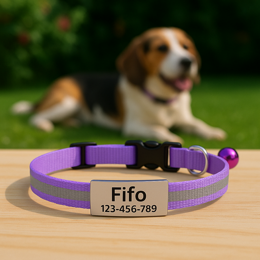 GlowTag – Purple Reflective ID Collar