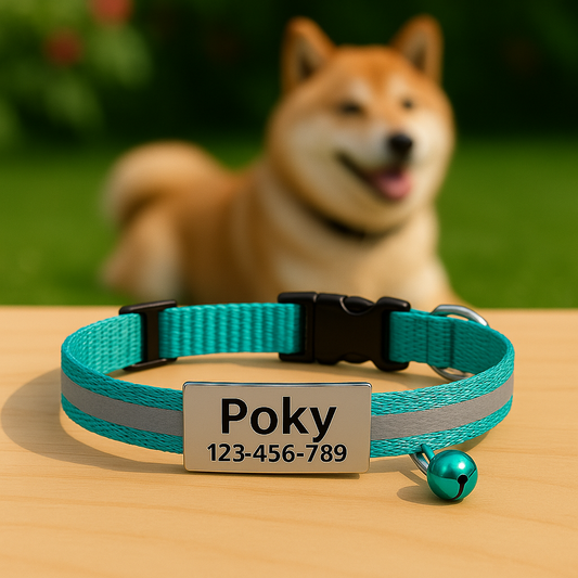 GlowTag – Turquoise Reflective ID Collar