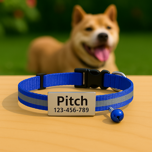 GlowTag – Blue Reflective ID Collar
