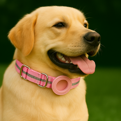 TrackLoop – Pink Reflective AirTag Collar
