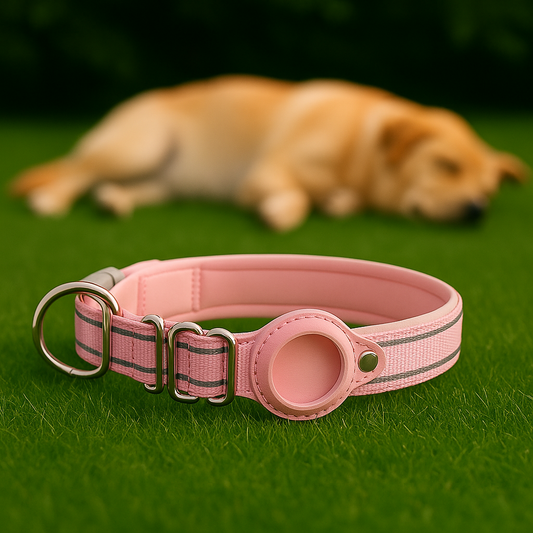 TrackLoop – Pink Reflective AirTag Collar