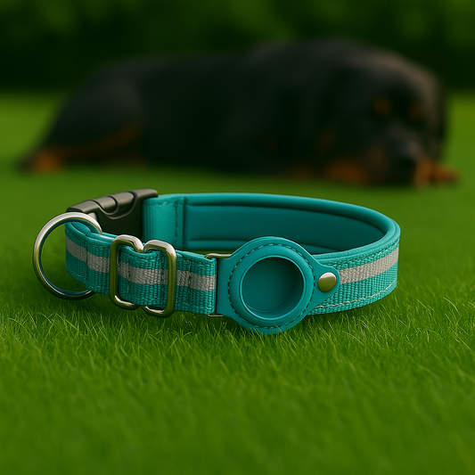 TrackLoop – Turquoise Reflective AirTag Collar