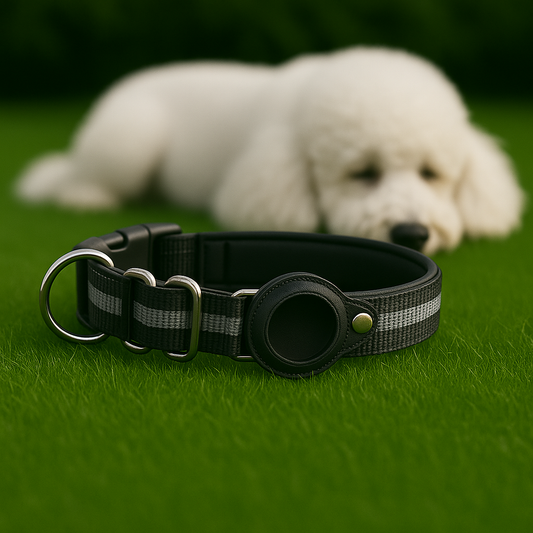 TrackLoop – Black Reflective AirTag Collar